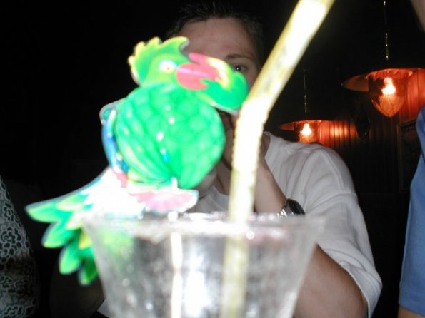 gluepot_thony-perroquet