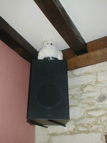 chezthony_rapachouette-enceinte