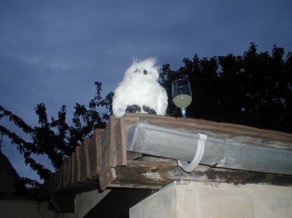 chezthony_rapachouette-tuiles