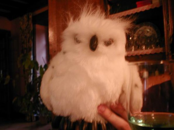 chezthony_rapachouette02