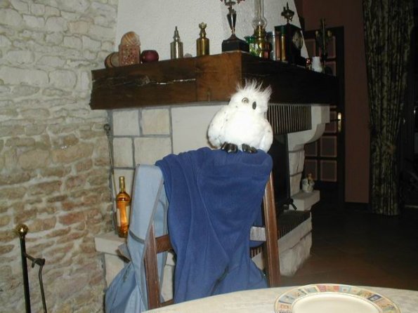 chezthony_rapachouette02