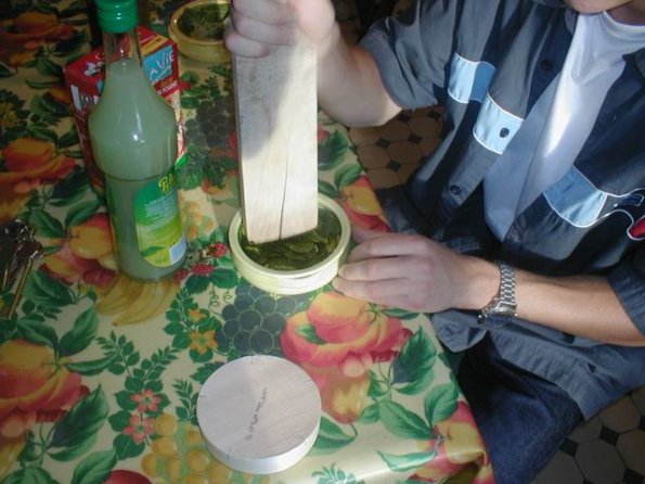 chezgrm_thony-menthe