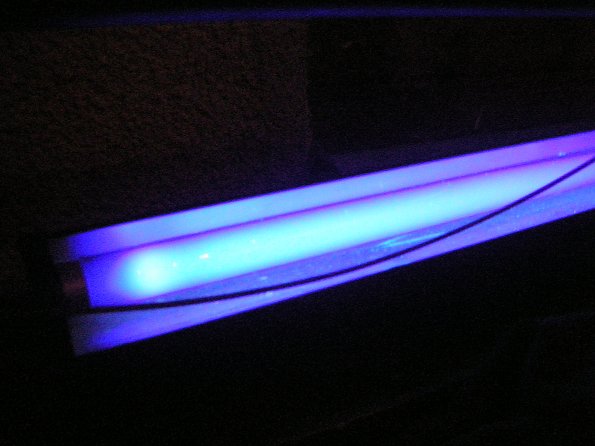 DSCN3467
