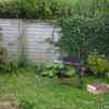 DSCN5361