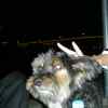 DSCN5433